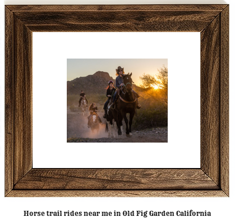 horse trail rides near me in Old Fig Garden, California